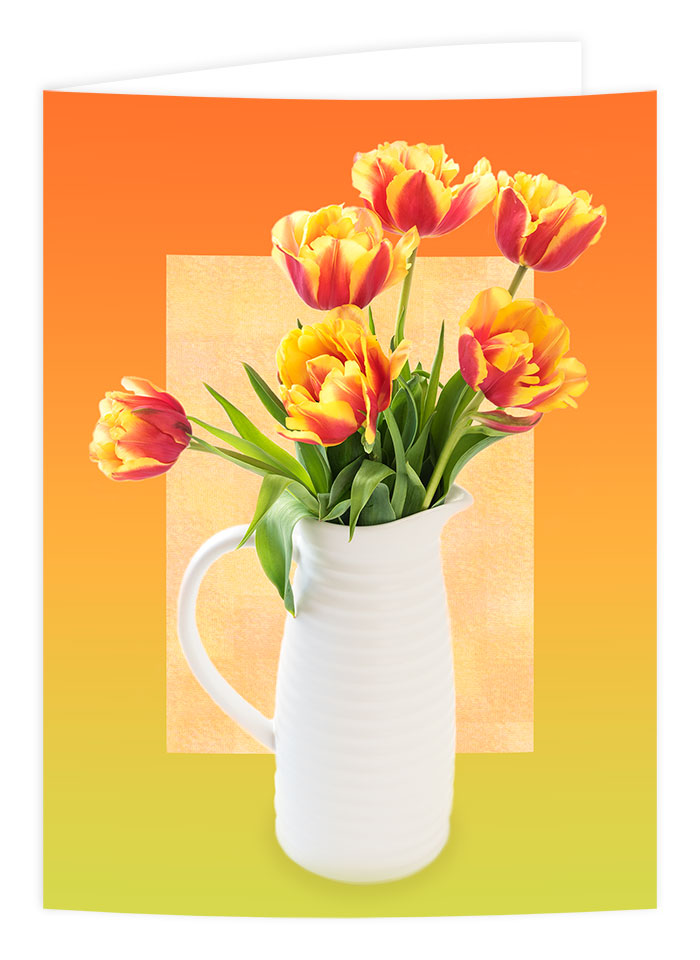 red and yellow tulips in a white vase greetings card