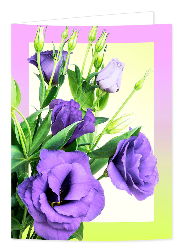 purple lisianthus greetings card