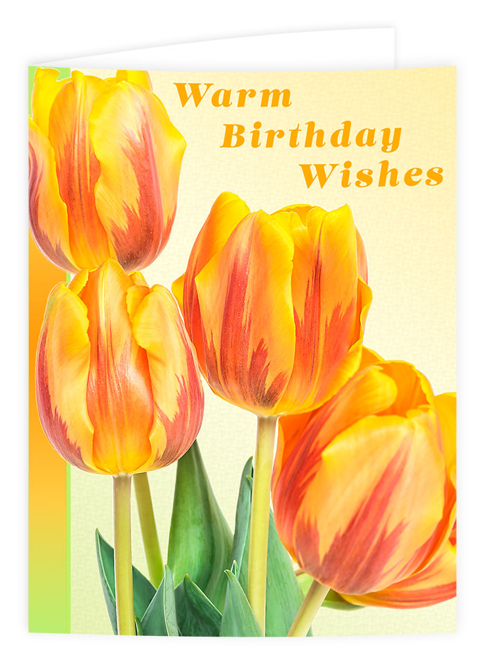 golden tulips greetings card