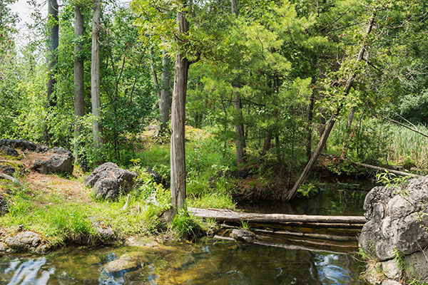 Rockwood Conservation Area, Park in Ontario